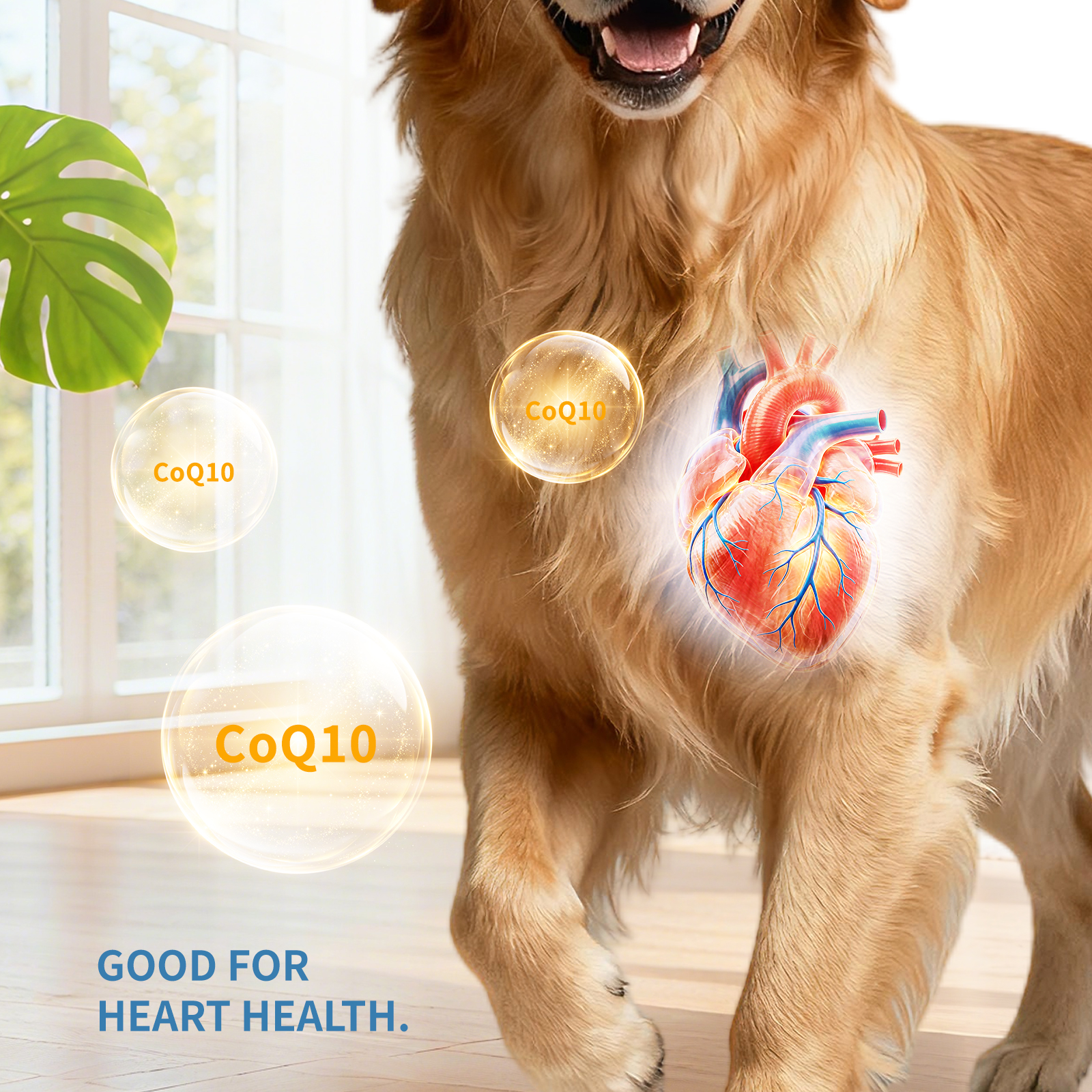 Solo Recogida en Tienda - Diversas Vitaminas para Perros — imagen 12