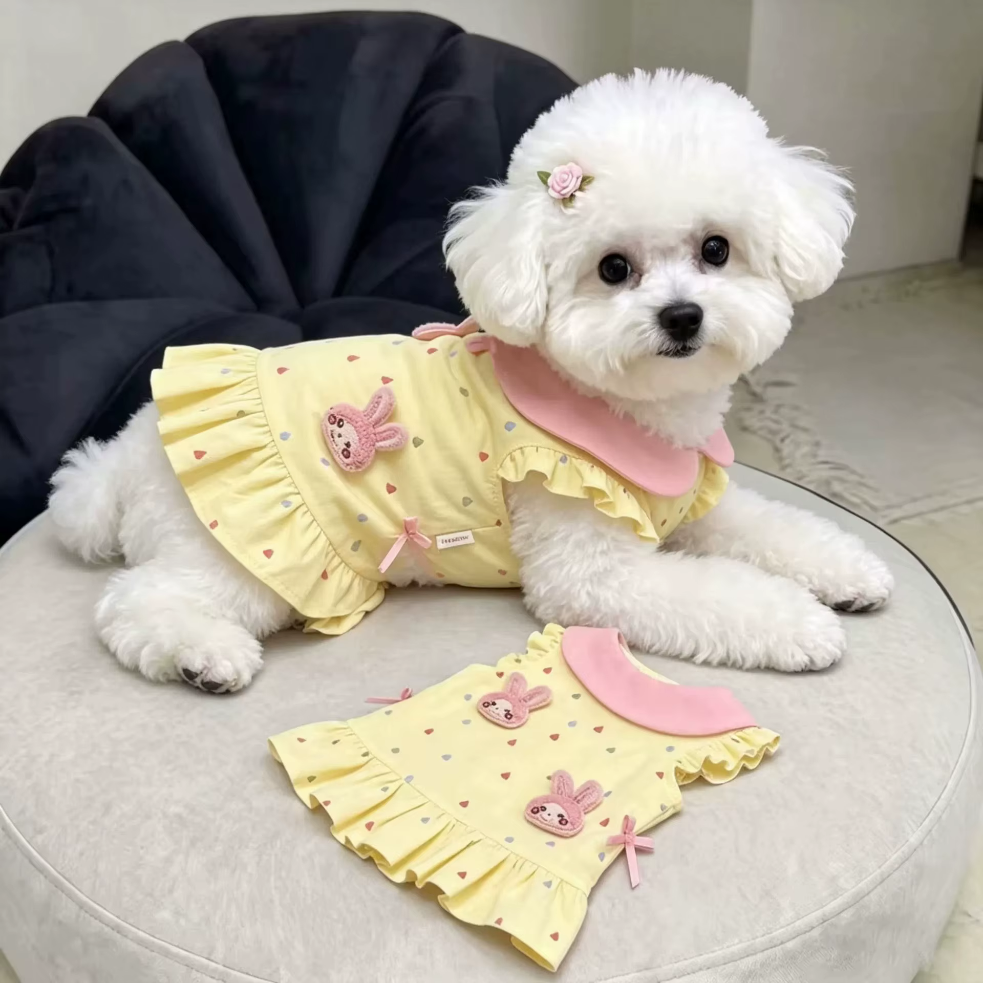 Productos para Mascotas: Vestidos de Primavera y Otoño, Camiseta Floral con Conejo, Falda, Ropa para el Hogar, Ropa Adorable para Perritos, Accesorios para Perros — imagen 3