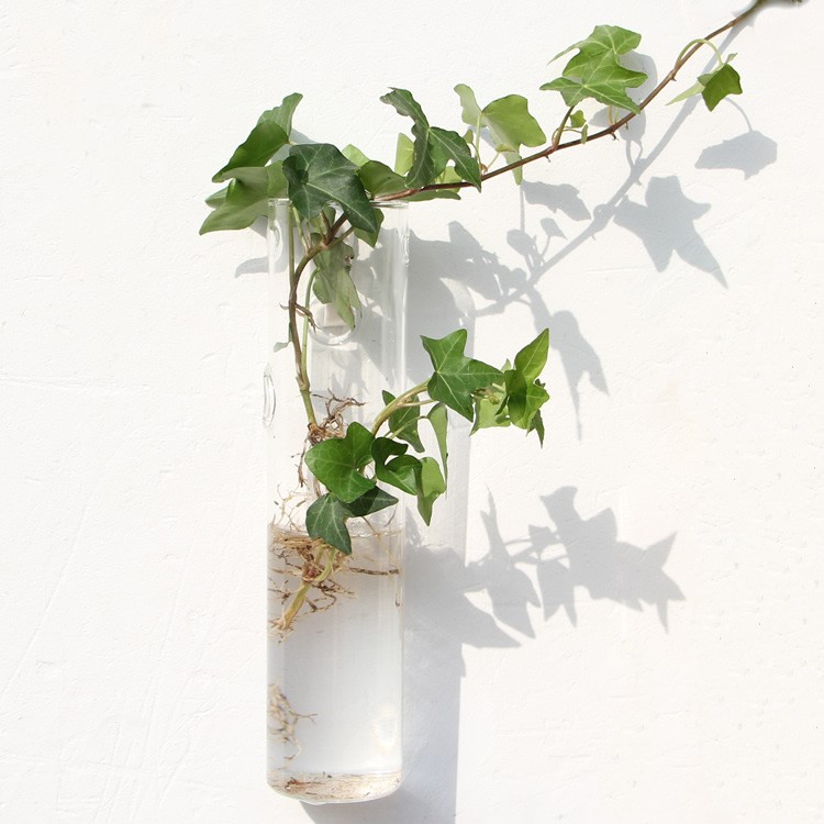 Vaso de Vidrio para Terrario Decorativo en Línea - Jardín Acuático para Hogar — imagen 64