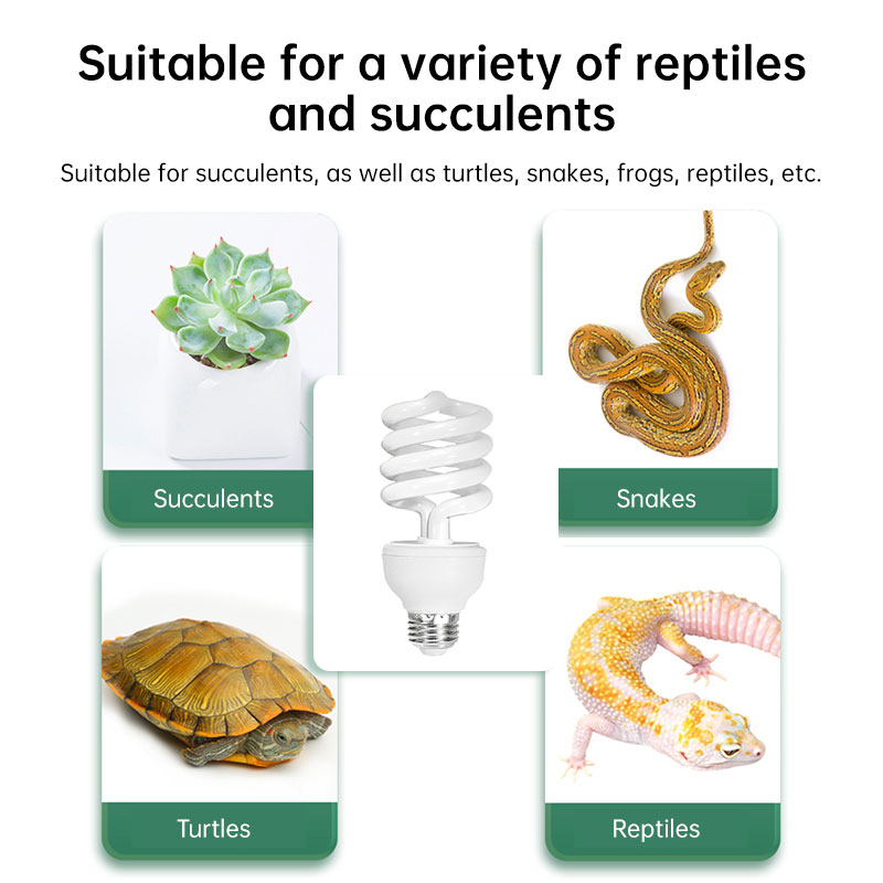 Lámpara de Calor UVB 5.0/10.0 para Reptiles - 13W/26W con Luz Natural y Energía UVB — imagen 8