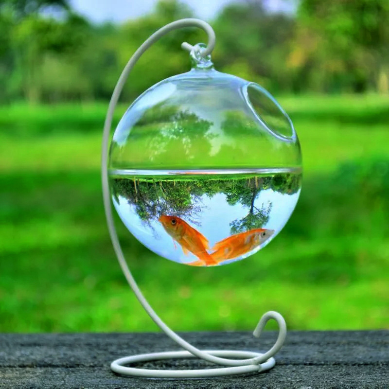 Vaso de Vidrio Suspendido para Acuario — imagen 2