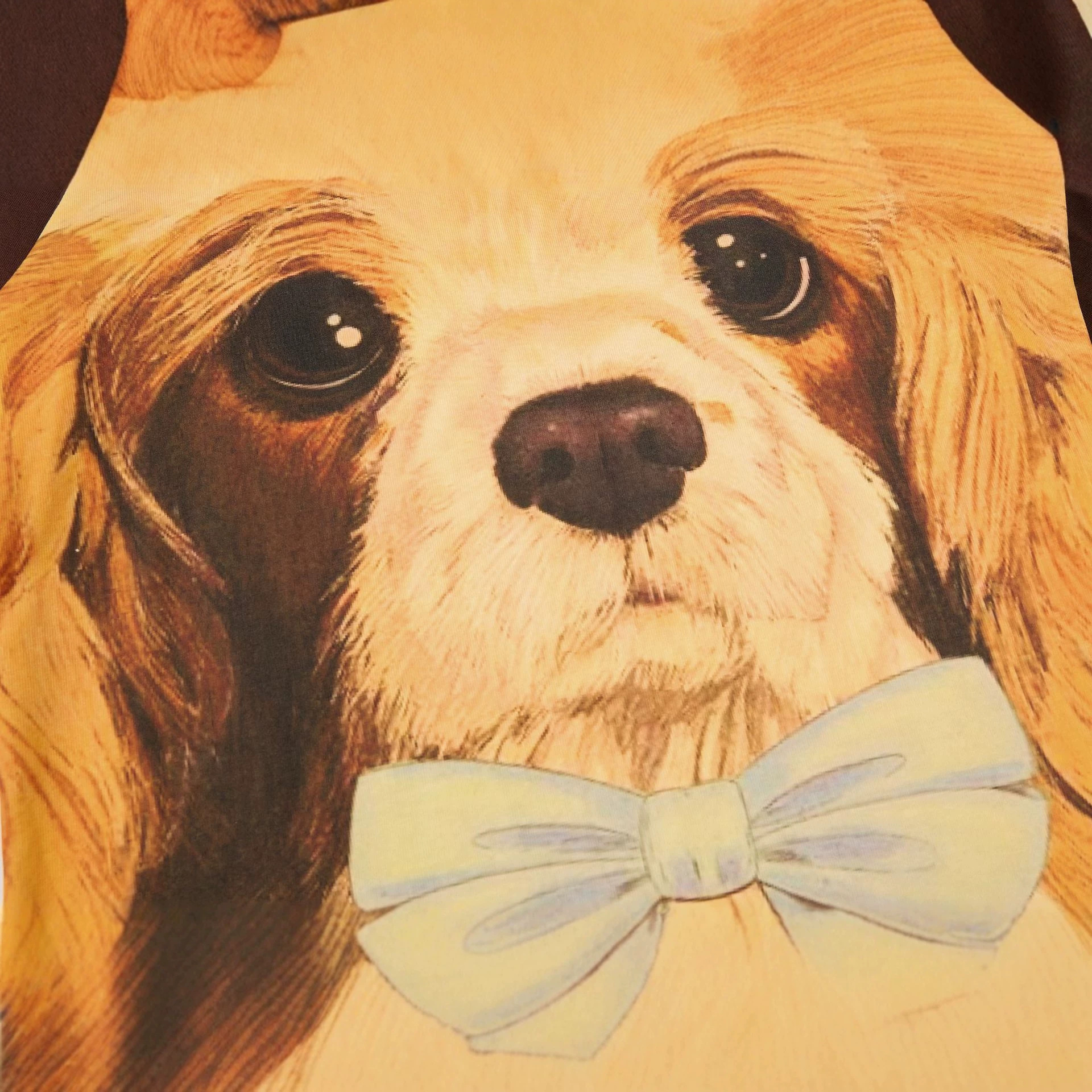Cute Dog Print Long Sleeve Color Block Raglan T-Shirt for Women — image 4
