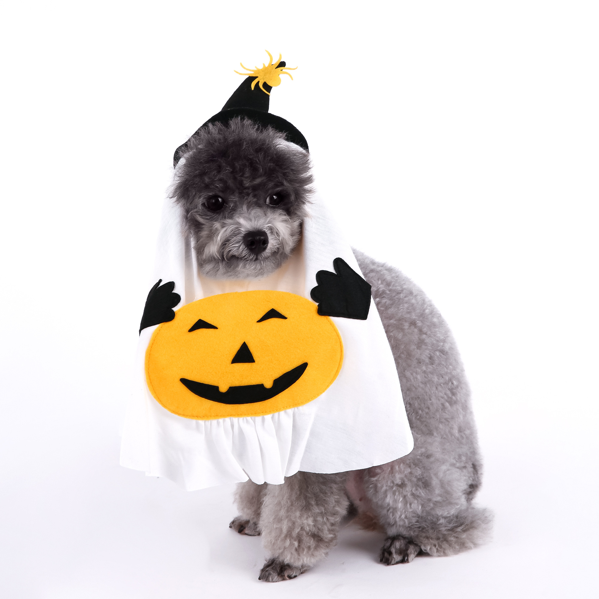 Cute Halloween Pumpkin Wizard Print Pet Costume for Small and Medium Dogs and Cats — image 5