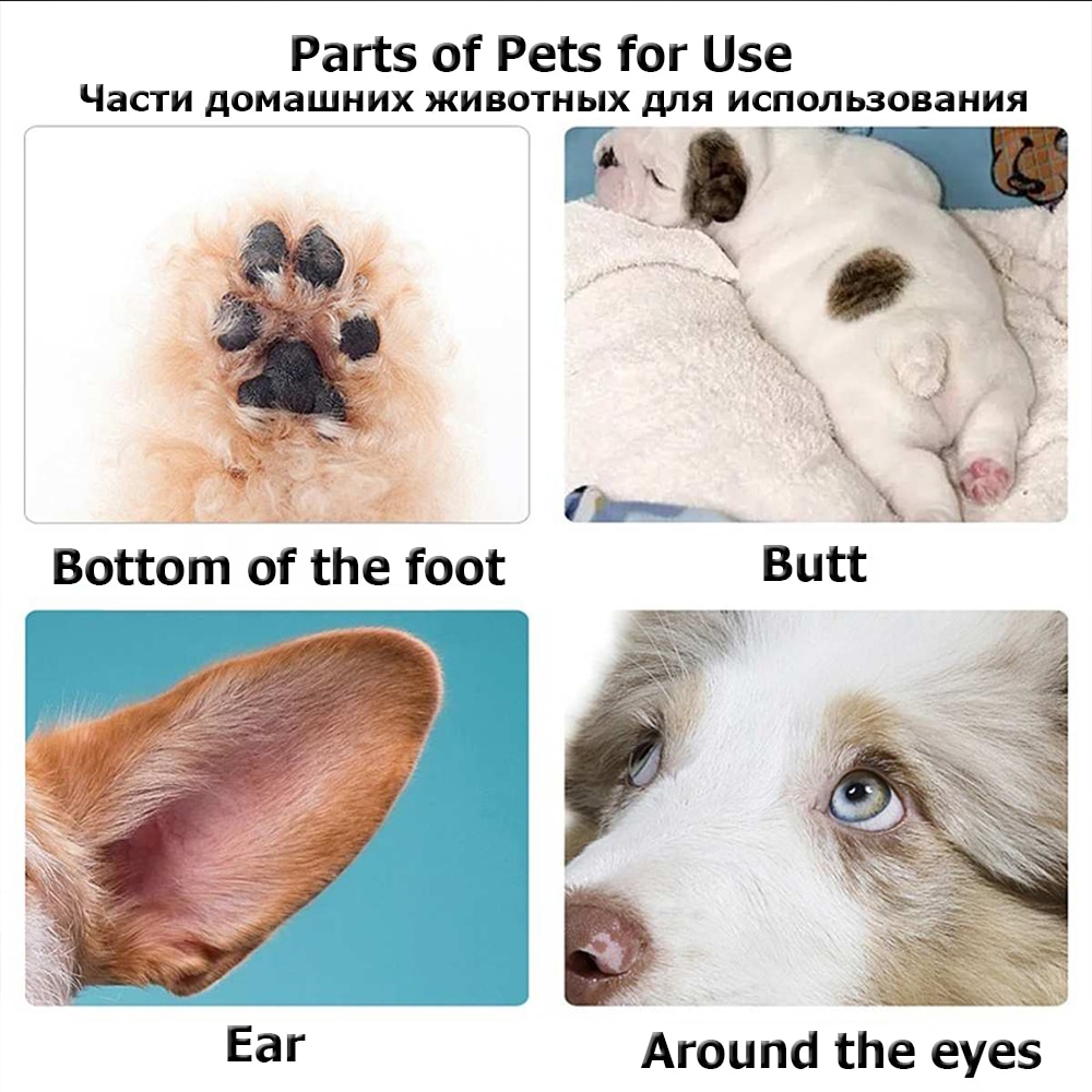 Tijeras para Perros Profesionales Tricólogo de Pata y Cuerpo de Mascotas Silenciosas con Recarga USB — imagen 3