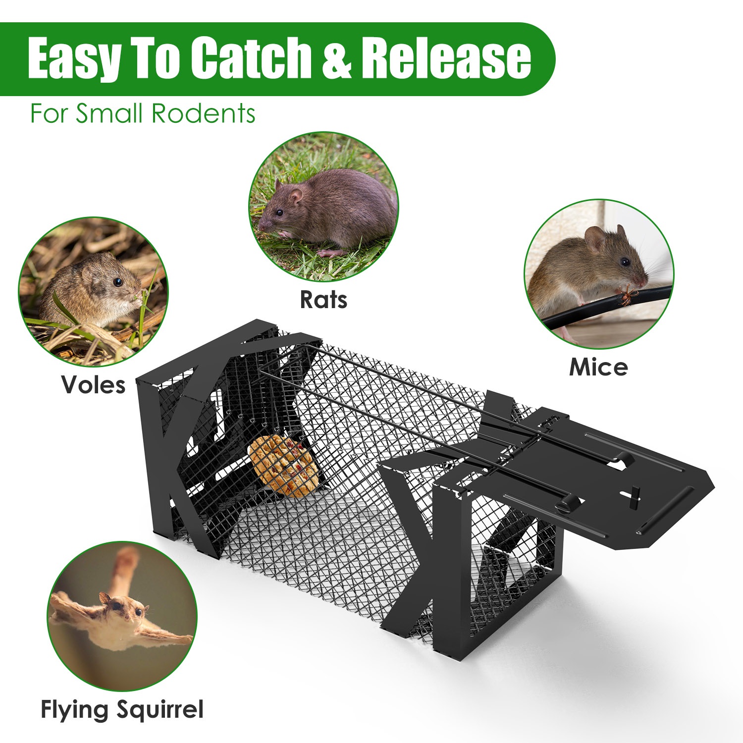 2 trampas para ratas, jaula humanitaria para ratones vivos, fáciles de capturar y liberar, para topillos, ratas, ratones, roedores y hámsteres, reutilizables, para uso interior y exterior — imagen 4