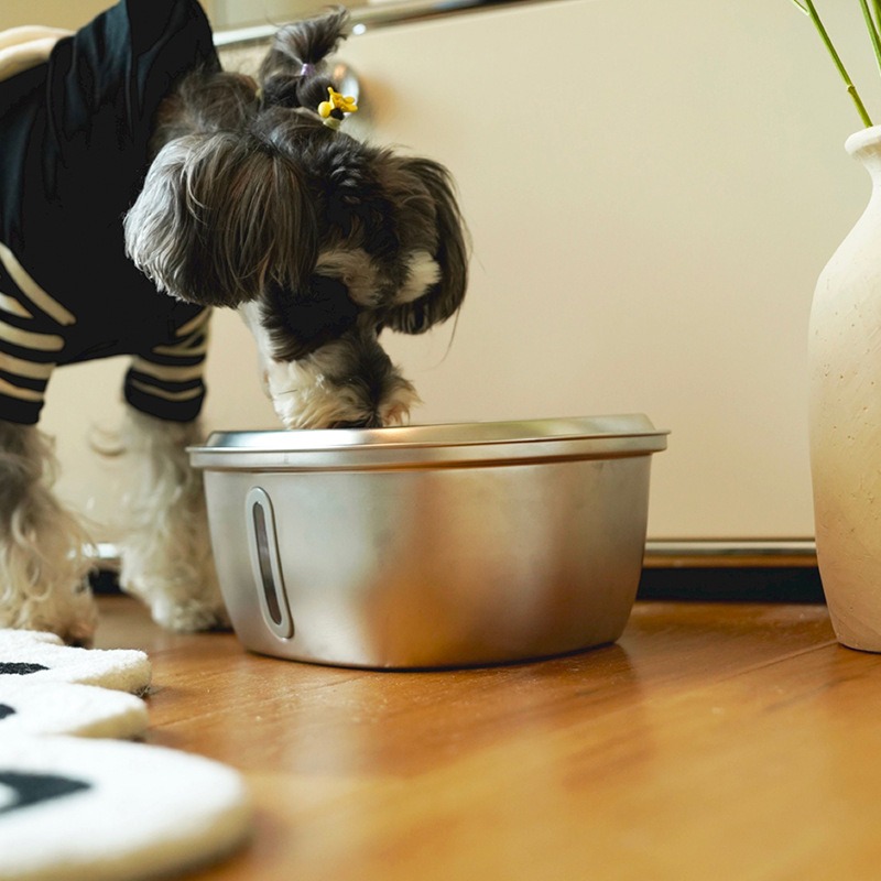 Stainless steel pet water dispenser fully automatic water circulation filtration water feeder cat water dispenser — image 5