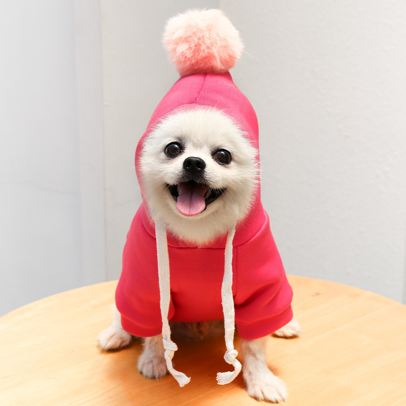 Chick Transformed Dog Cat Small Medium-Sized Dog Autumn And Winter Sweatshirt Scratch Pet Clothes Supplies Teddy Fighting Bichon — image 8