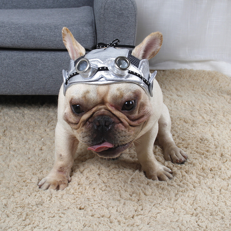 Disfraz de Fiesta para Mascotas — imagen 6
