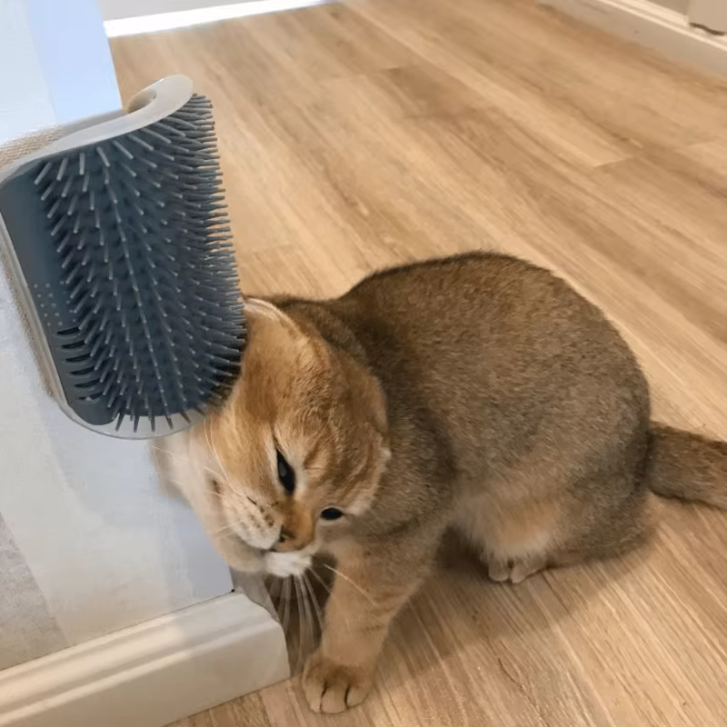Pet cat scratcher and fur brush with wall corner toy for entertainment a must-have for hair removal and itching — image 5