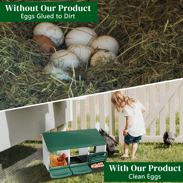Nido para Gallinas de 3 Compartimentos con Bandeja Deslizable y Cesta de Plástico, Caja de Nido para Puesta de Huevos, Gallinero, Verde — imagen 9