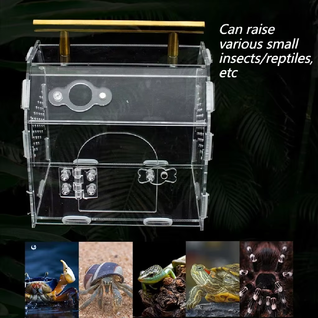 Reptile Terrarium Acrylic Portable Small Reptile Breeding Box Spider Tortoise Snail Terrarium Reptiles Pet House Cage — image 3