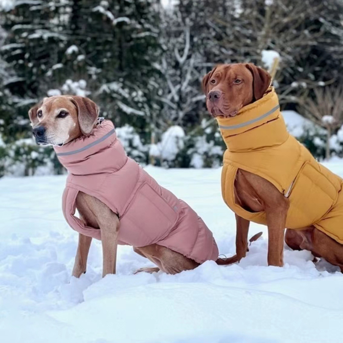 Dog clothing thickened warm waterproof windproof two leg coat pet vest cotton coat — image 3