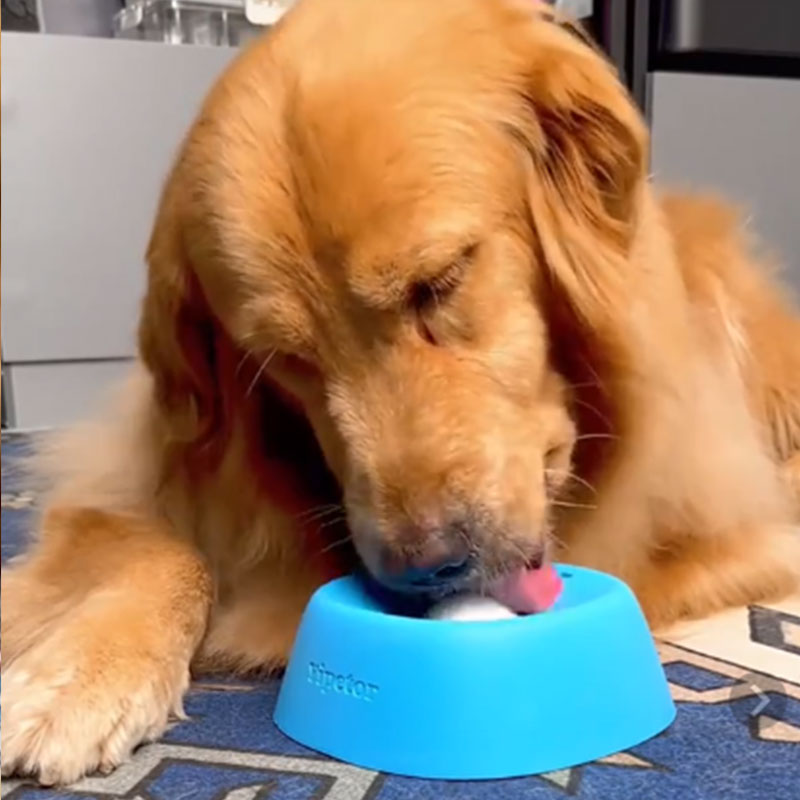 Comedero Lento Antiahogo para Perros y Tapete para Lamer | Tazón Antideslizante de 3/4 de Taza para Premios, Caldo, Yogur — imagen 3