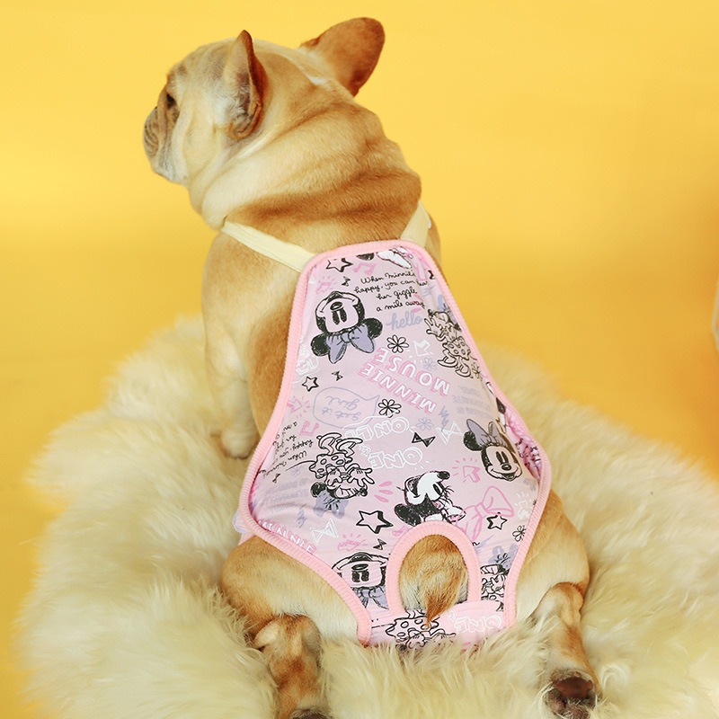 Pantalones Fisiológicos para Perros - Talla XS — imagen 6