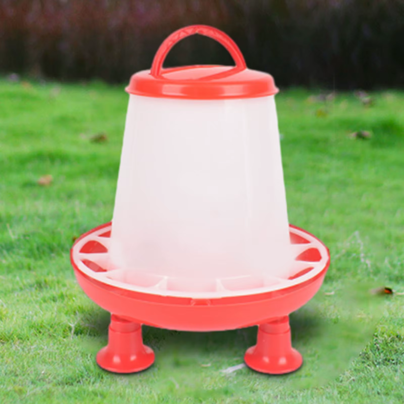 Alimentador de Gallinas, Cubeta Automática de Alimentación para Pájaros, Gran Capacidad, Dispensador de Alimento para Paloma, Loro, Codorniz, Gallina, Pato — imagen 2