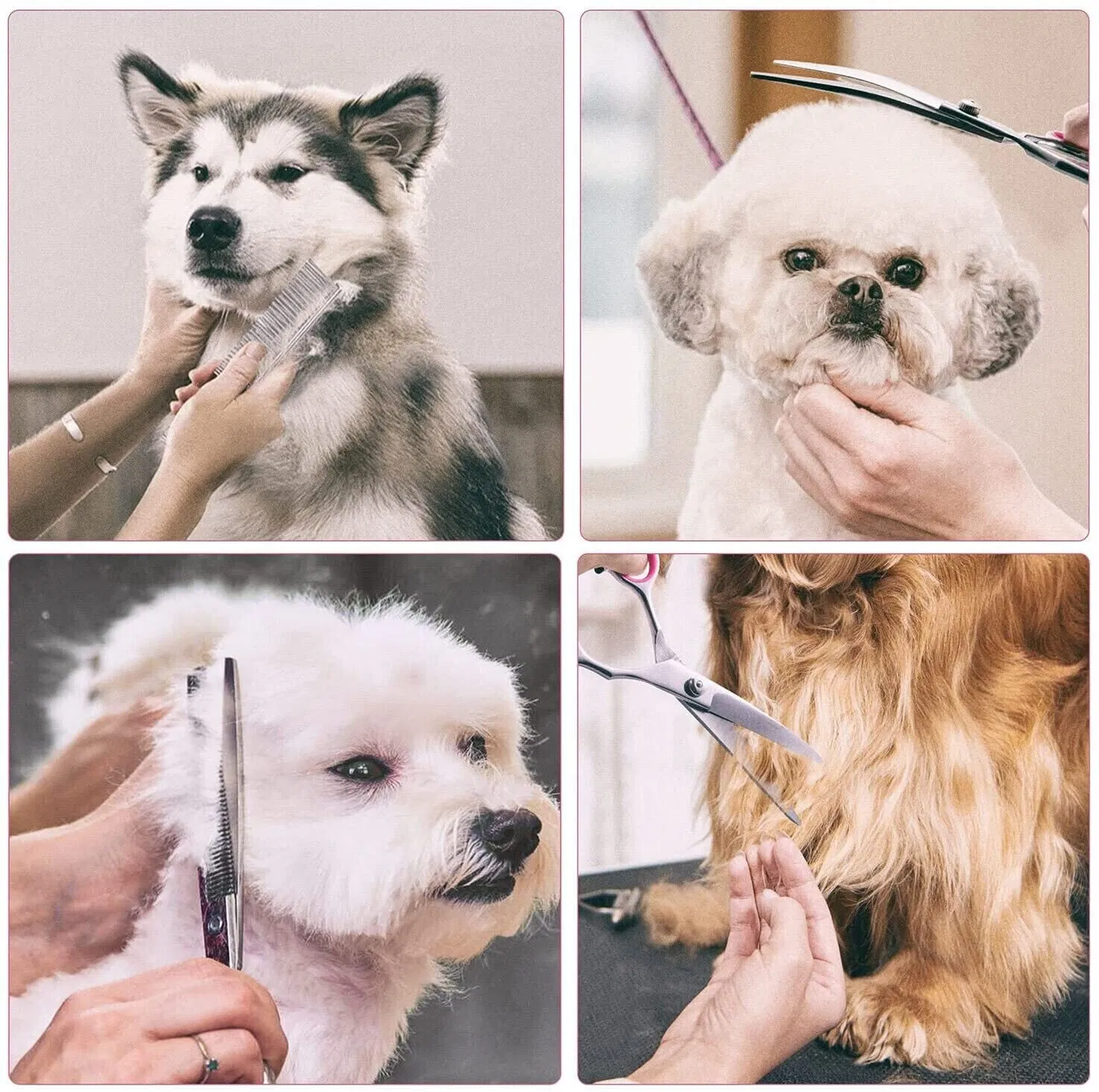 Pet Dog Grooming Scissors Stainless Straight Curved Thinning Shears Trimmer Kits — image 2