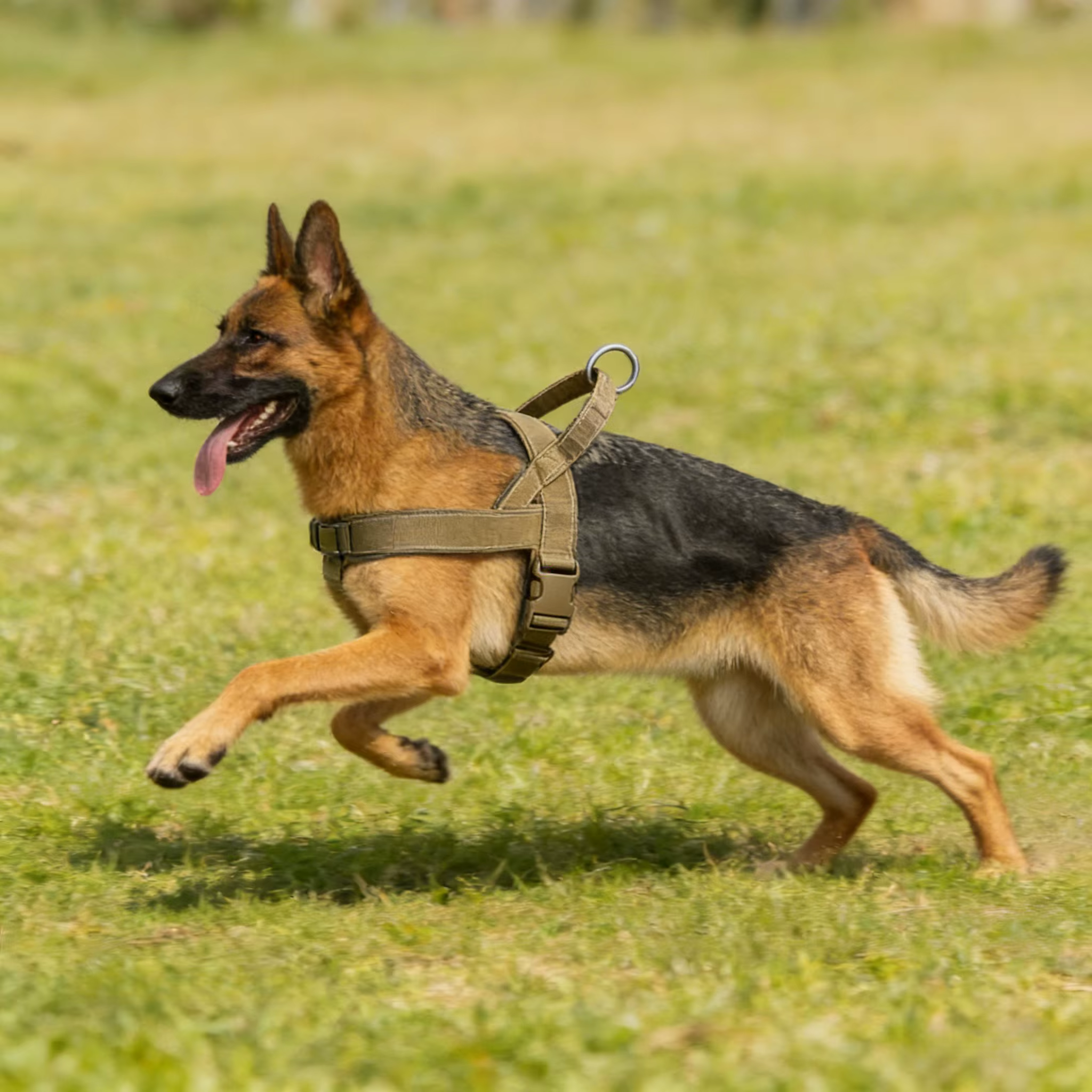 Tactical No-Pull Dog Harness for Large Breed: Heavy-Duty Vest with Reflective Strip, Adjustable & Padded for Control and Pullers — image 2