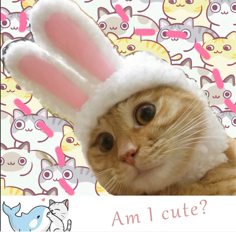 Capa de Pascua Divertida y Adorable: Sombrero Conejo con Orejas para Gatos y Perros Pequeños, Accesorio de Disfraz para Mascotas, Foto de Cumpleaños — imagen 1