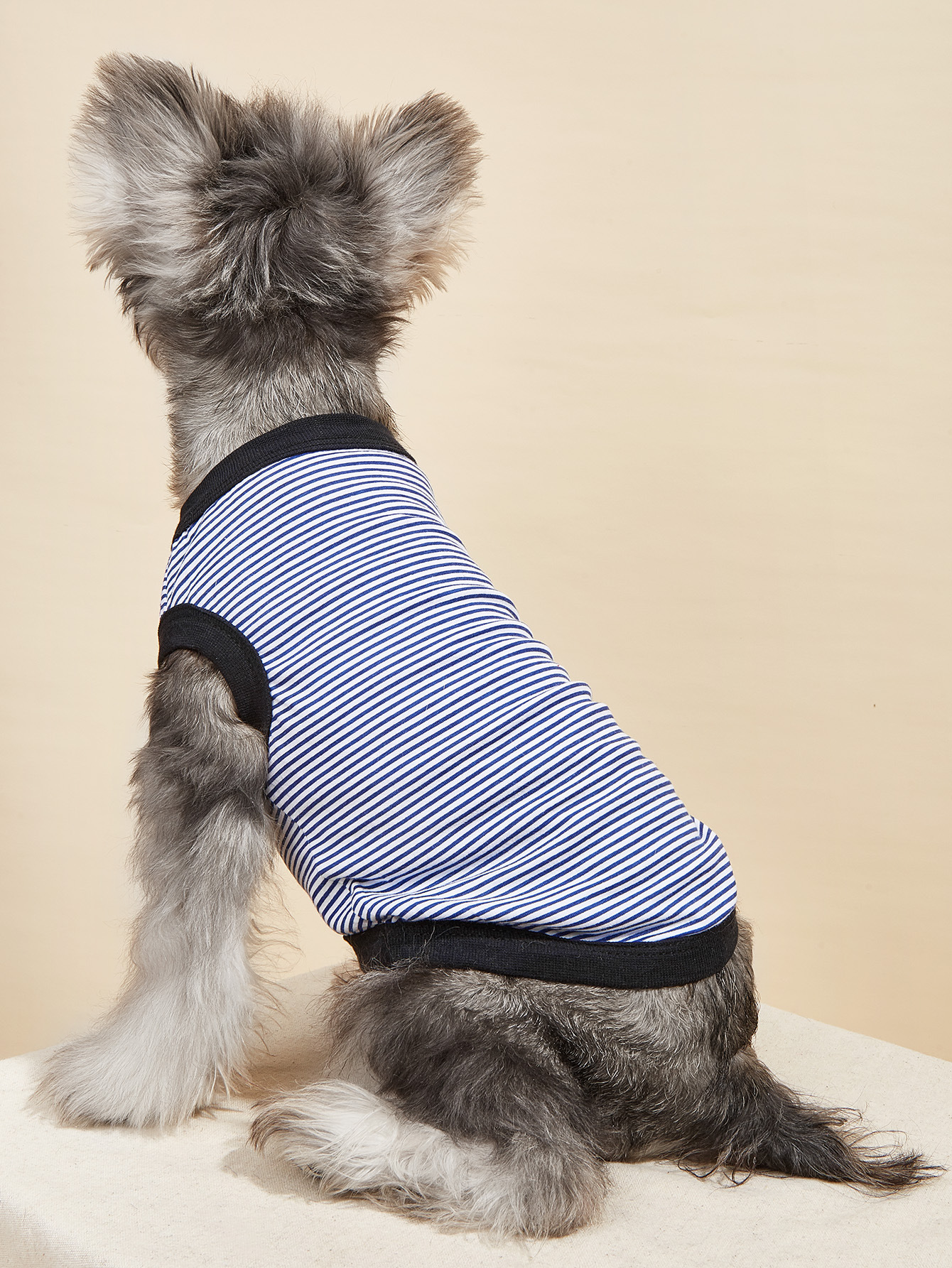 Summer New Dog Clothes Pet Clothing Striped Round Neck T-Shirt Small And Medium Dog Pomeranian Teddy Thin Section — image 2