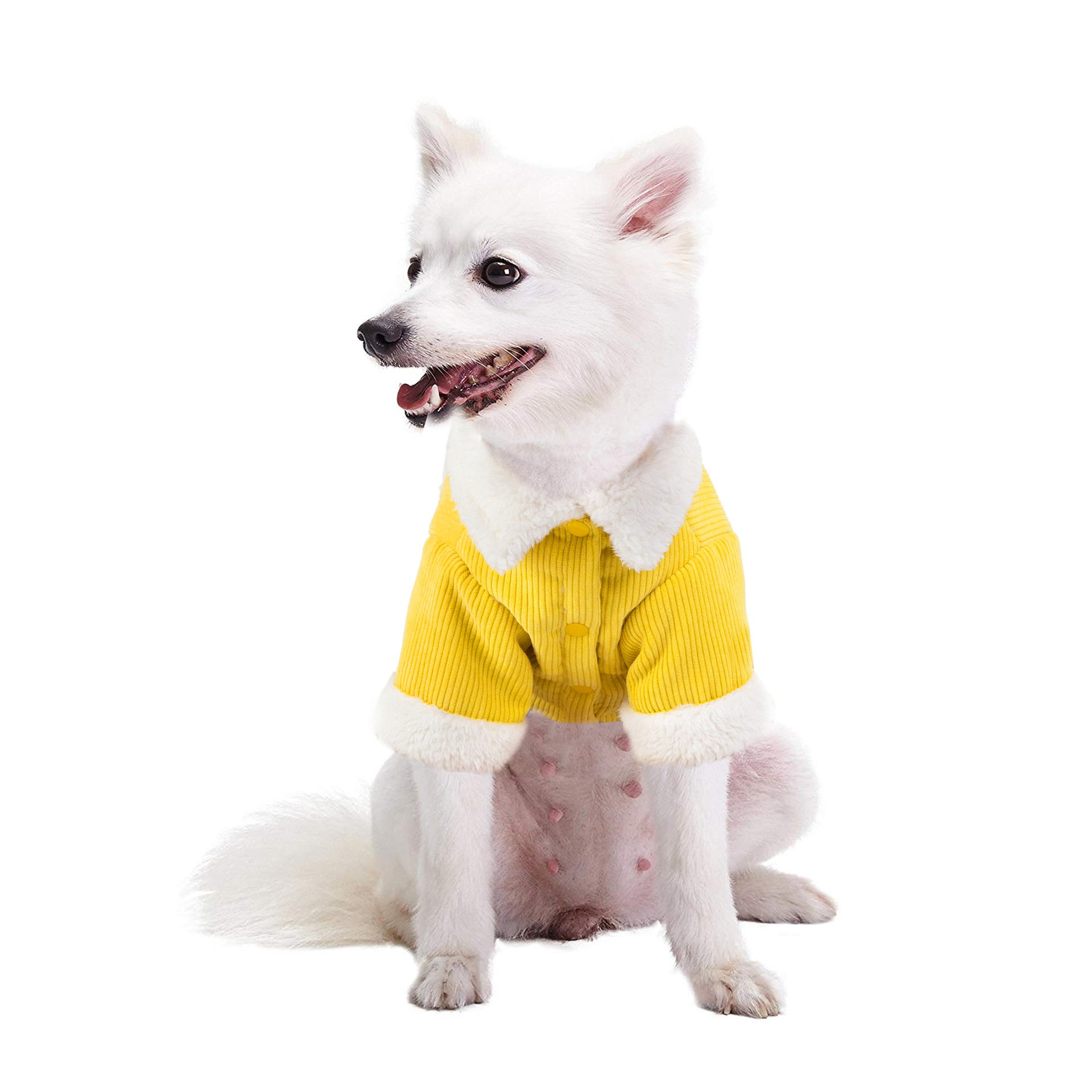 Ropa para Perros de Doble Capa, Aislante Caliente de Corduroy y Algodón, Ropa Cómoda para Mascotas, Vestimentas para Gatos y Perros, ropa de algodón para invierno y otoño — imagen 2