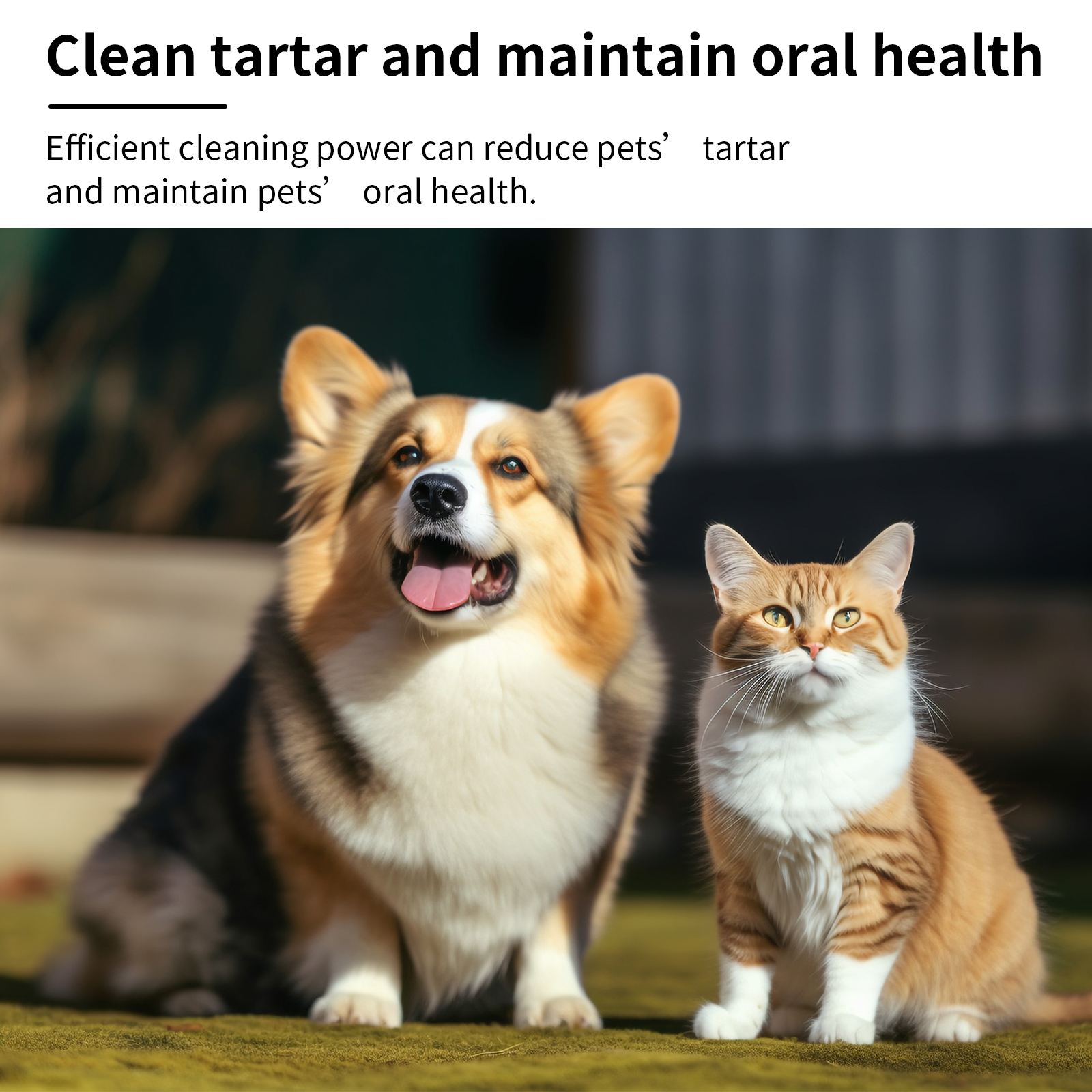 Pet Mint Fresh Breath Spray, Clean Your Dog's Bad Breath Fresh Breath Care — image 6