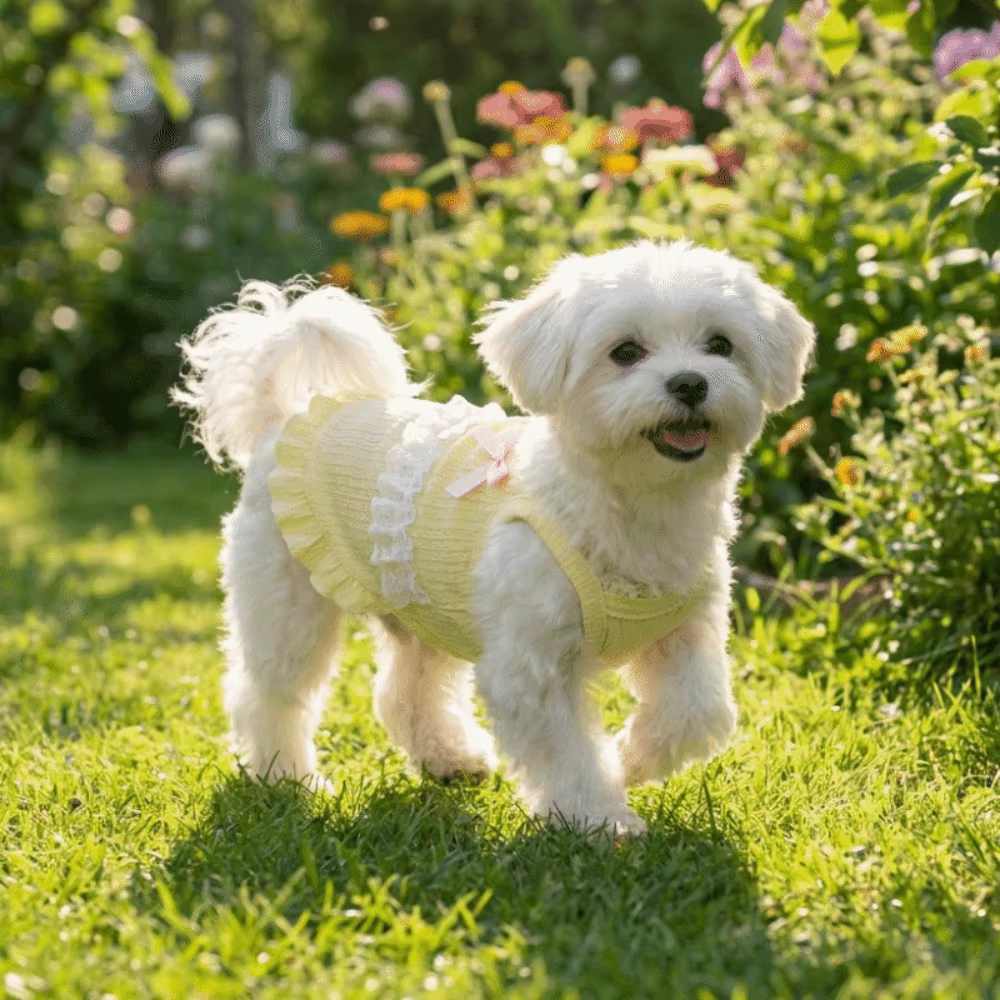 Vestido de Tanque para Mascotas - Top Ligero Floral con Encaje para Perros y Gatos — imagen 2