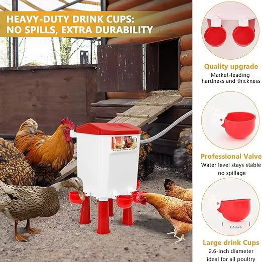 Chicken Feeder & Waterer Set Poultry Feeder & Waterer Set — image 2