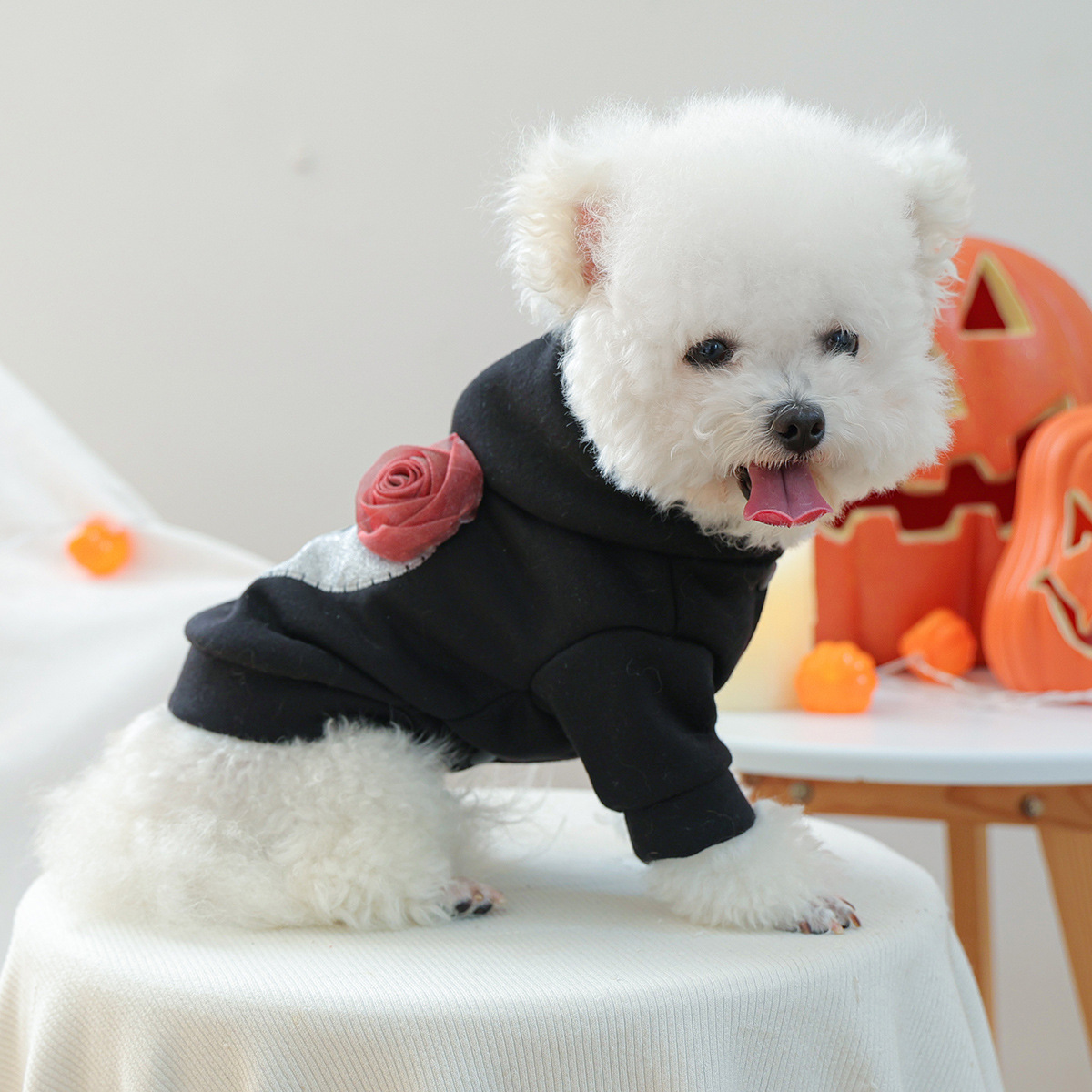Pet Clothes for Small Dogs and Puppies, Dark Style Festival Outfit, Silver Skull Halloween Hoodie — image 3