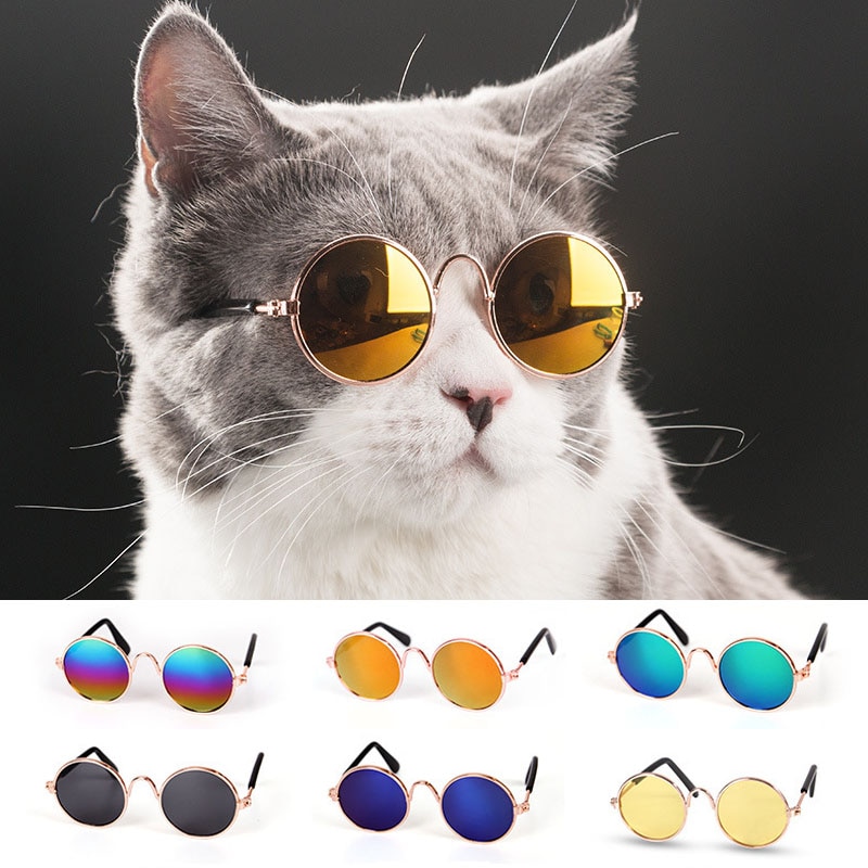 Gafas Adorables para Mascotas, Gafas de Sol para Pequeños Perros y Gatos - Accesorios para Fotos de Mascotas — imagen 2