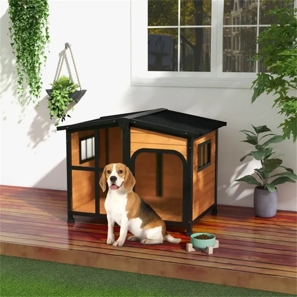 Casa para Perros - Envío Natural Prohibido por Walmart — imagen 1