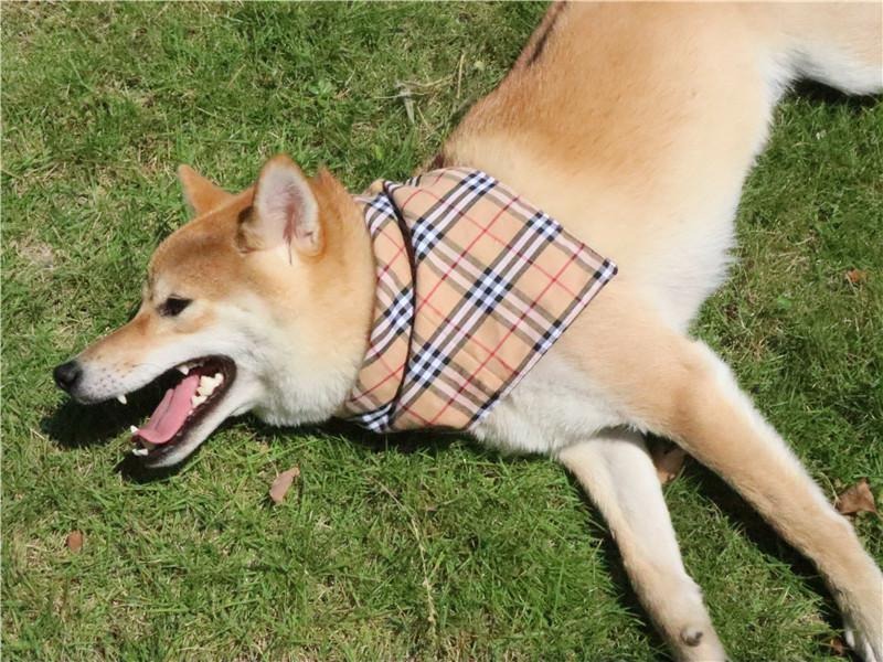 Pet triangle scarf, neck tie, saliva towel, dog scarf, double-layer Scottish British style — image 2