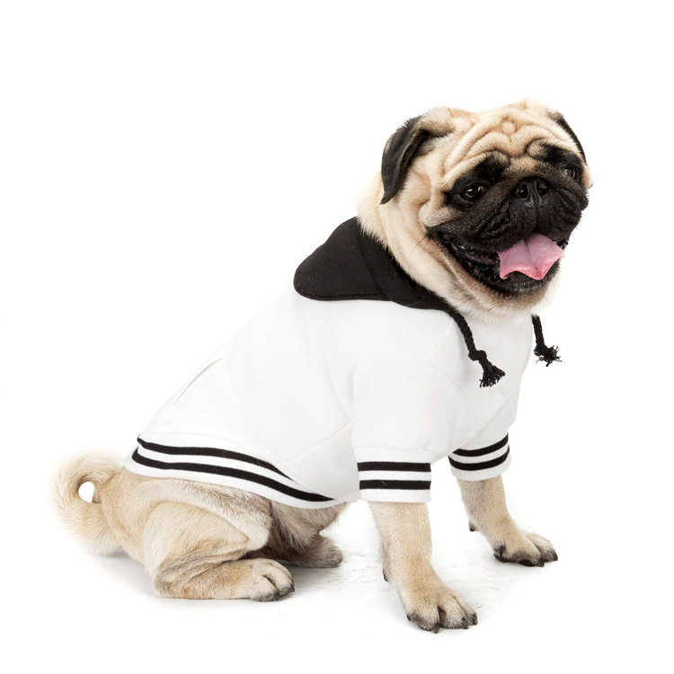 Nueva Ropa de Mascota: Suéter a Juego de Colores para Perros - Accesorios Pet — imagen 5