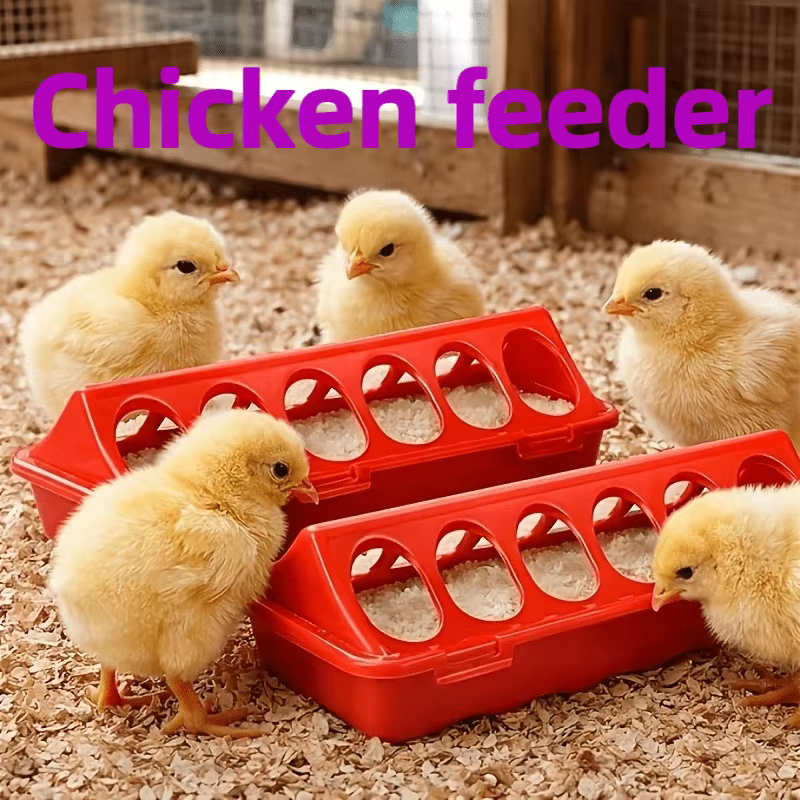 Chicken Feeder: Multi-Hole Tray, Anti-Theft, for Chicks, Quail & Wyandotte — image 1