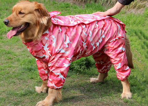 Raincoat Big Dog Golden Retriever Dog Satsuma Border Collie Medium And Large Dogs Full Package Four Feet Pet Waterproof Big Dog Clothes — image 2