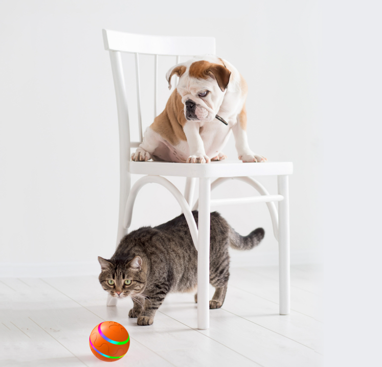 Pelota Inteligente de Gato Wicked Ball Juguete Autónomo con Rotación Automática USB — imagen 8