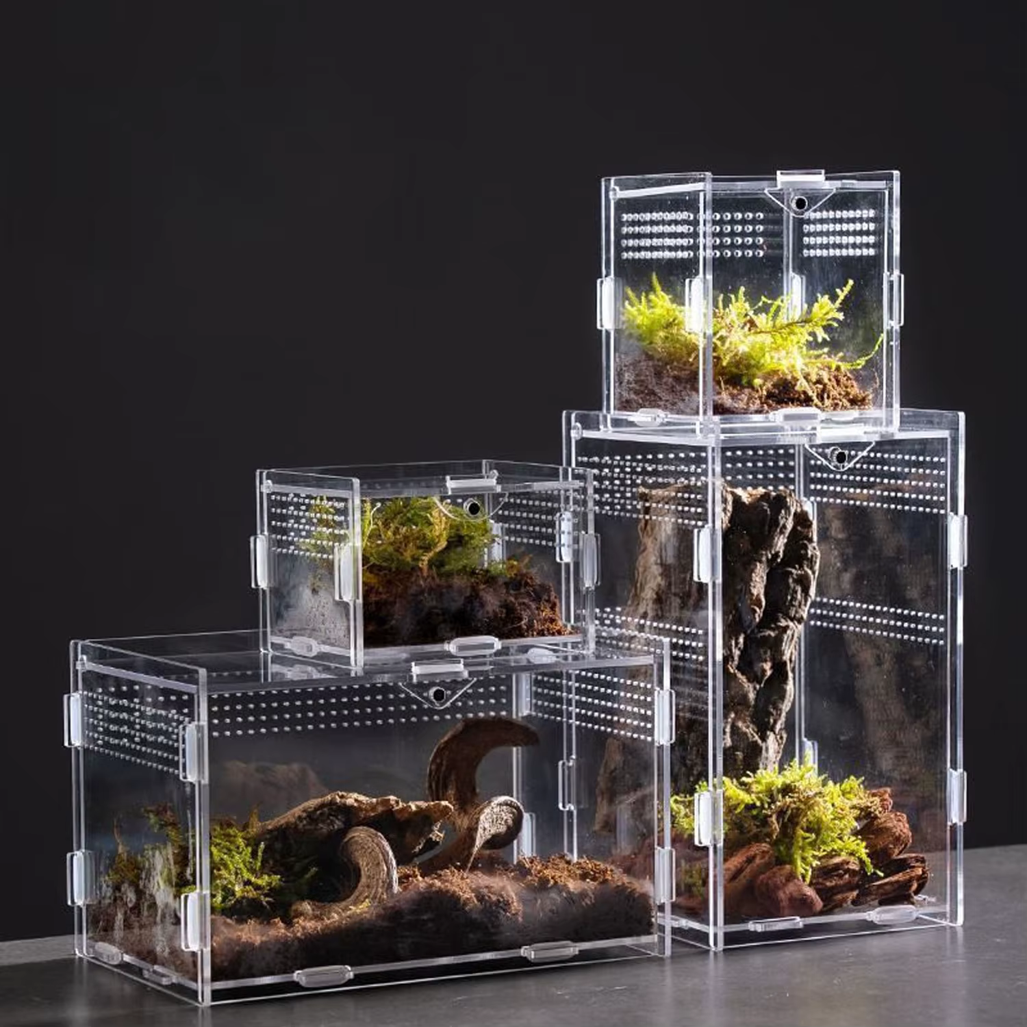 Terrario Transparente de Acrílico, Caja de Cría para Reptiles, Jaula para Tortugas, Recinto Nano Arbóreo para Tarántulas, Hábitat para Dragones Barbudos y Reptiles — imagen 3