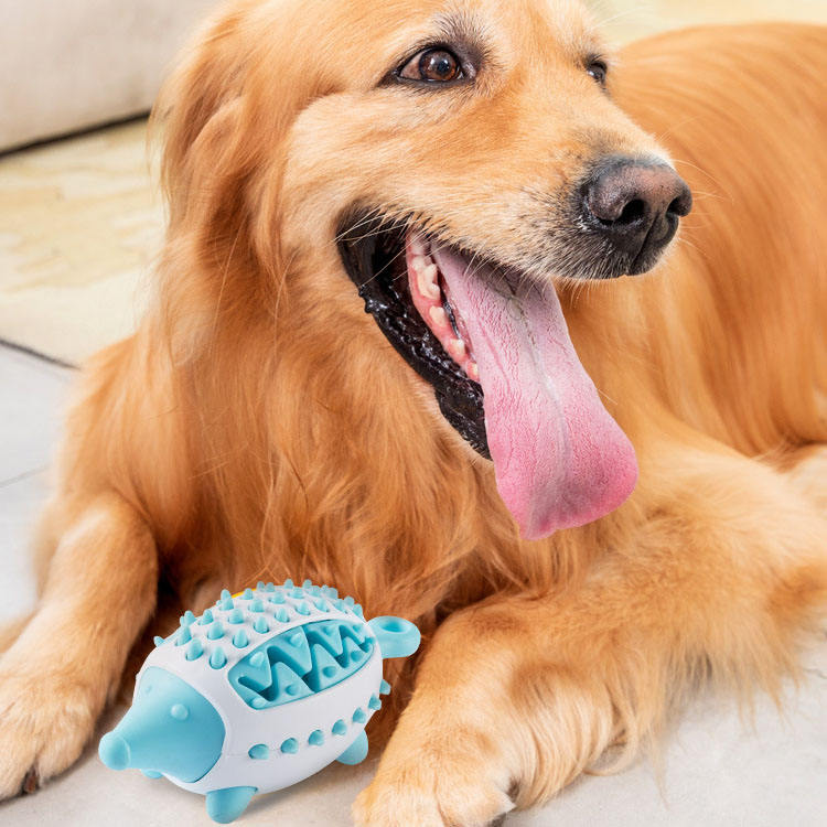 Pelota de Entrenamiento para Dientes Caninos con Almuerzo para Perros Juguetes de Mordisqueo para Mascotas Película de Alimento para Perros — imagen 1
