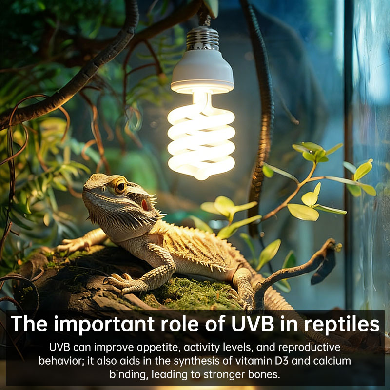 Lámpara de Calor UVB 5.0/10.0 para Reptiles - 13W/26W con Luz Natural y Energía UVB — imagen 10