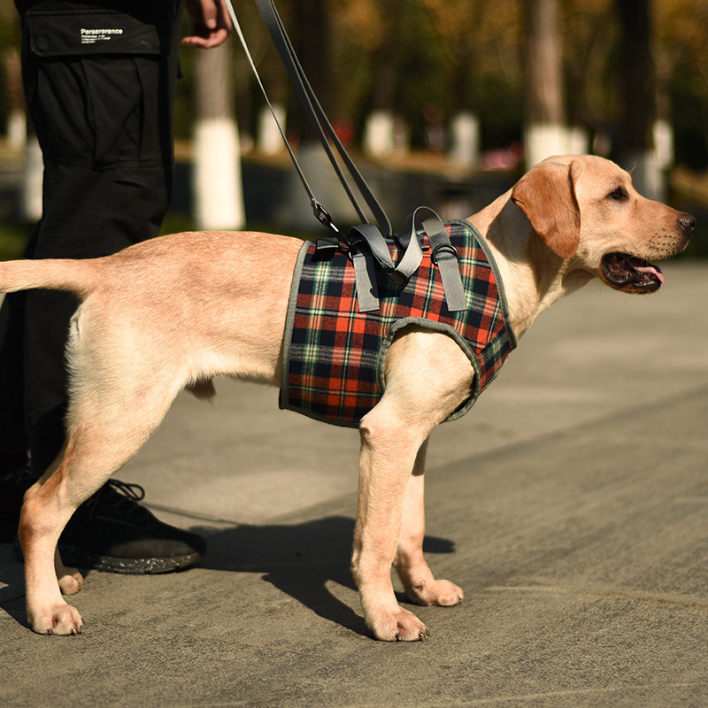 Pet Dog Leg Support Harness for Post-Surgery Recovery, Elderly Dogs, Large Breed Walking Assistance Brace — image 7