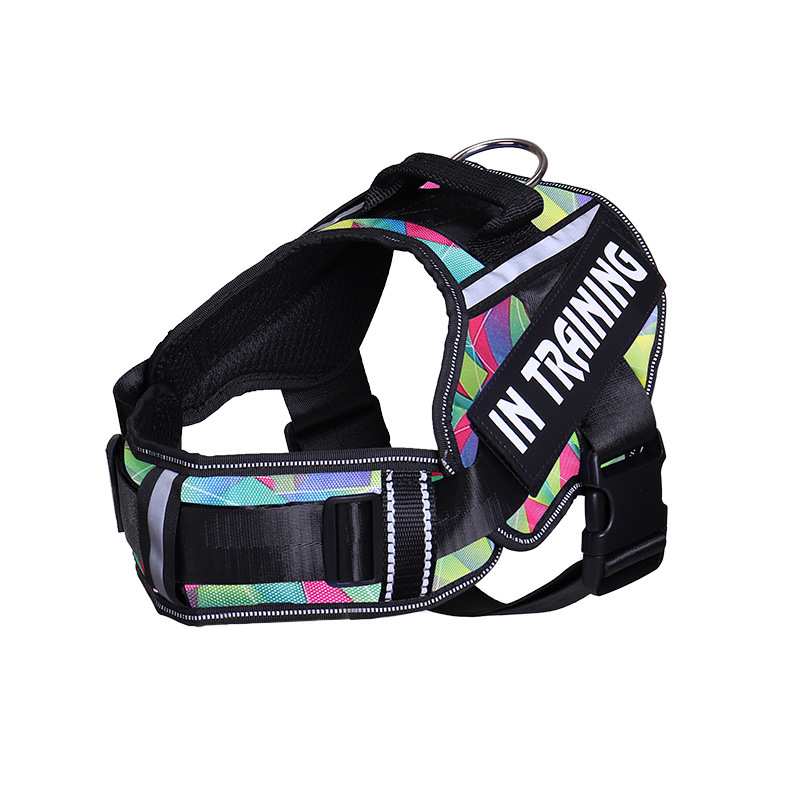 Neck Support Dog Harness with Reflective Pet Chest Harness and Leash, Direct Factory Supply Dog Lead and Pet Leash — image 2