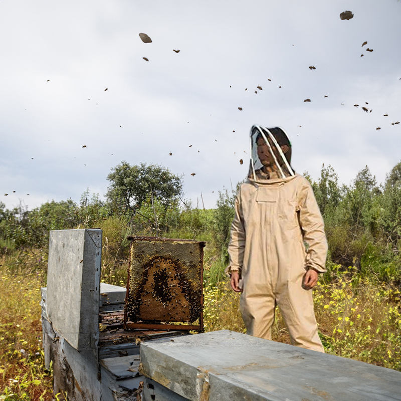 1 Set of Professional Ventilated Full - Body Beekeeping Suit with Gloves — image 6