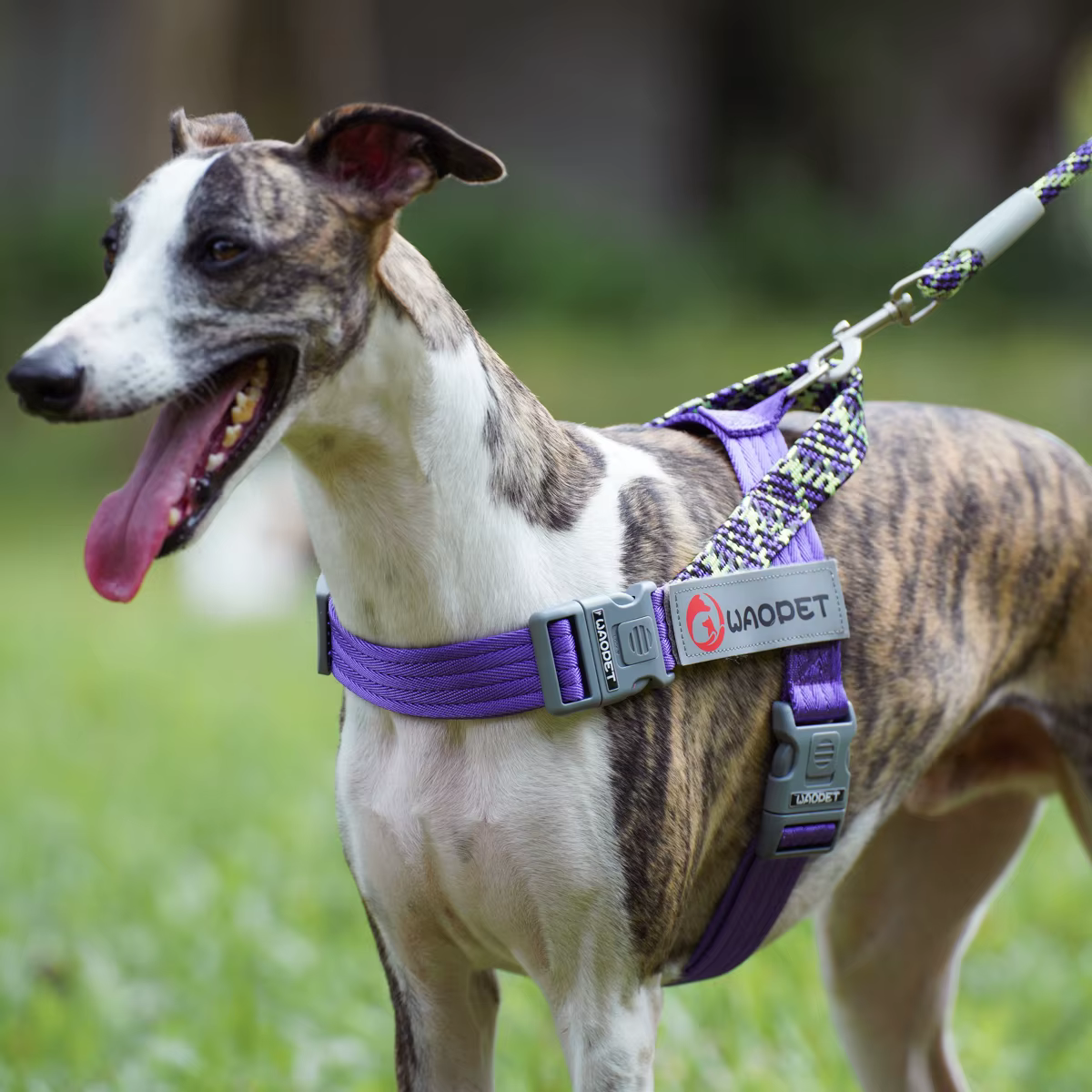 Walking Dog Harnesses For Heavy Medium Large Dogs Creative Design Flat Rope Durable Nylon Dog Rope No Pull Harness Pet Supplies — image 5