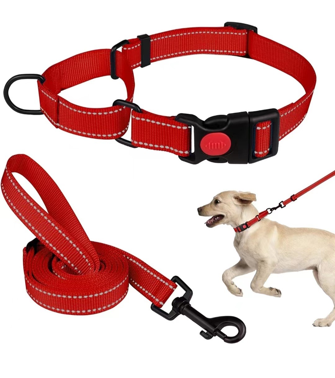Collar de Perro - Conjunto de Collar y Correa Reflectante con Cuerda de Tensión — imagen 12