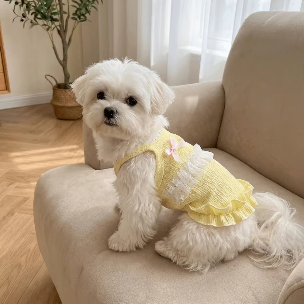 Vestido de Tanque para Mascotas - Top Ligero Floral con Encaje para Perros y Gatos — imagen 5