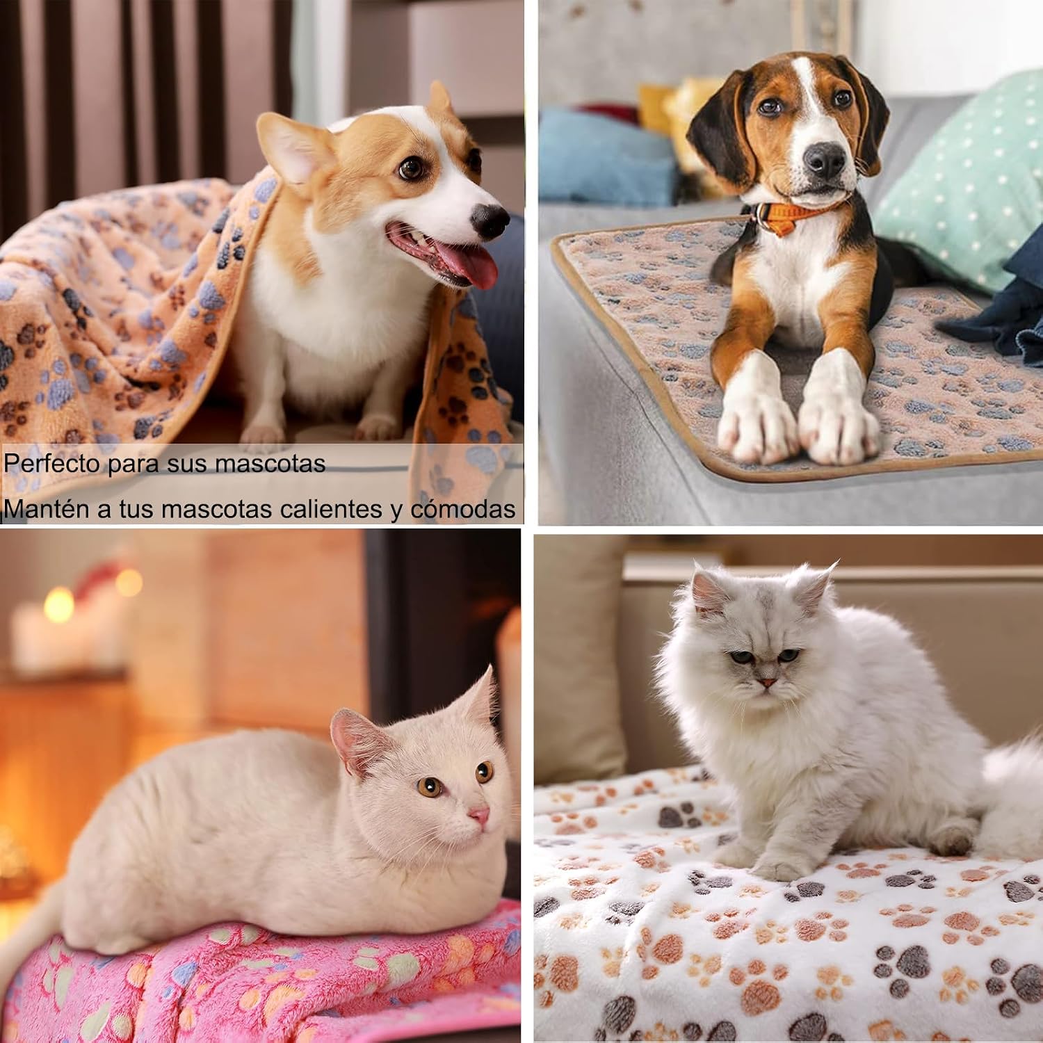 3 Pack Pet Blanket, Soft Plush Paw Print Dog Blanket Washable, Warm Fleece Cat Blanket For Large Medium Dogs, Sofa Couch Bed Cage Protector, 23 X 16 In, 30 X 20 In, 41 X 31 In, 47.2 X 39.3 In — image 4