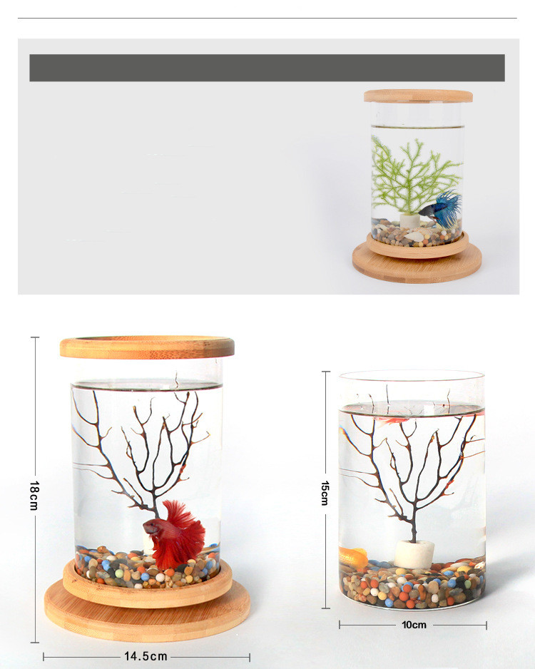 Acuario de Vidrio en Base de Bambú para Oficina Pequeña Decoración para Peces Mini — imagen 3