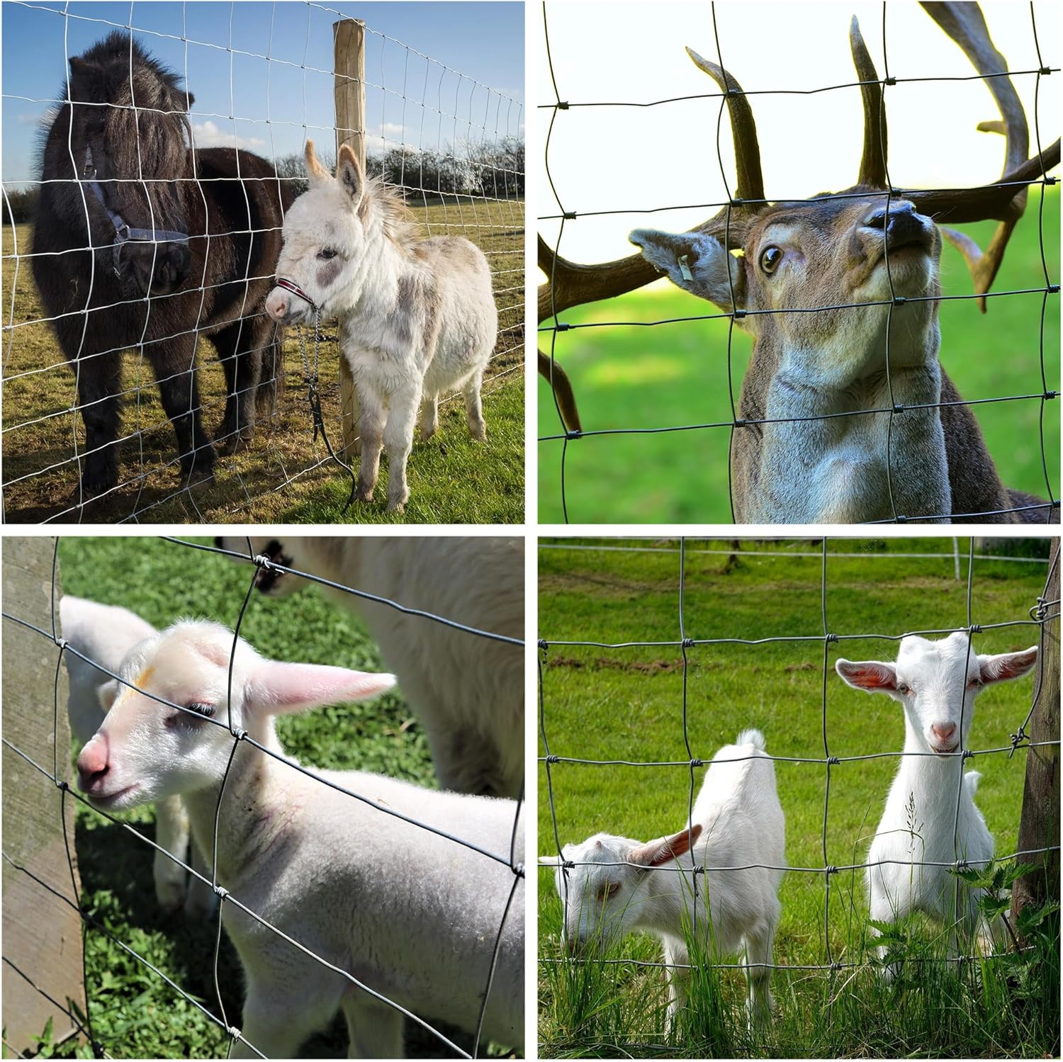 Farm Fence 3ft X 164ft 14Gauge Heavy Zinc Coating Cattle Fence, Galvanized Field Wire Fencing Deer Fence, Goat Fence, Hog Wire Fencing For Yard Livestock & Animals Protection — imagen 2