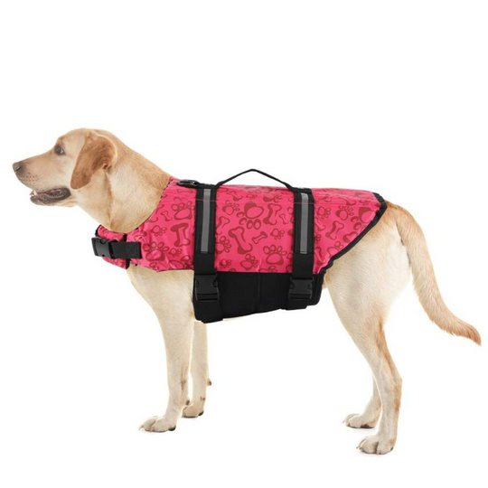 Producto de Desarrollo para Patas — imagen 4