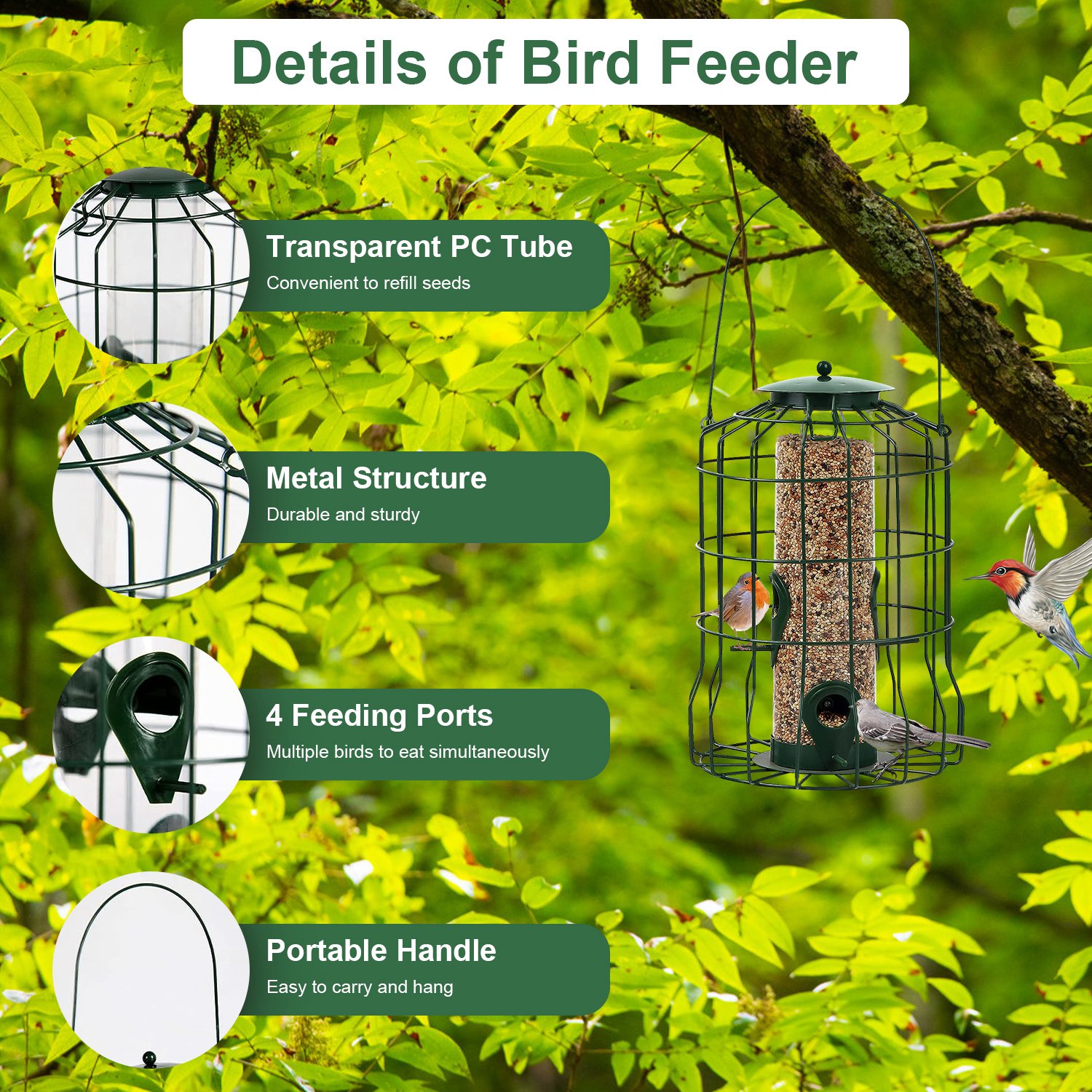 Comedor de Pájaros Silvestres al Aire Libre - Prueba de Ardillas, Muestras de Mordedura - Estructura Metálica Colgante con 4 Puertas de Alimentación para Aves Pequeñas — imagen 2