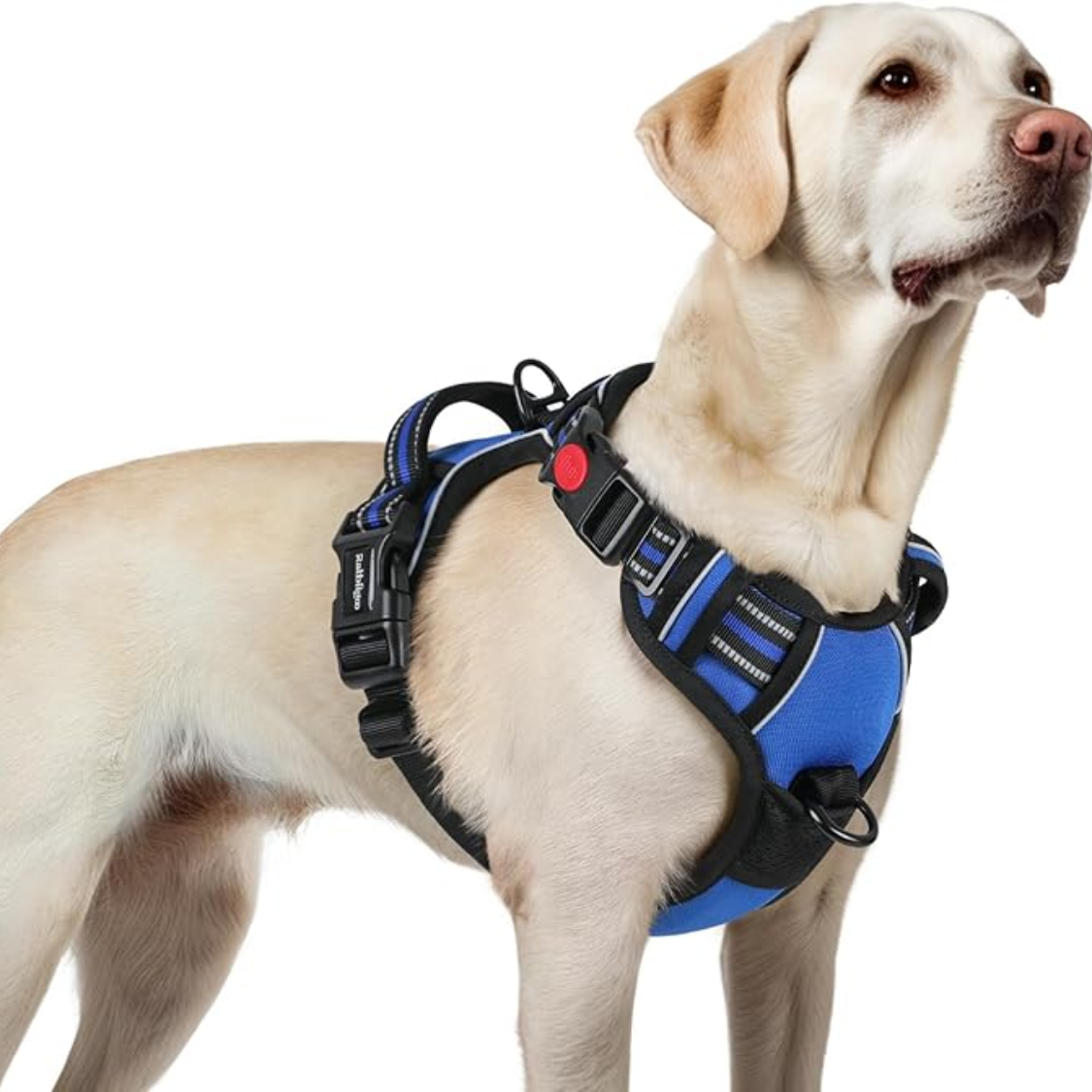 Arnes de Perro para Grandes - Fácil de Poner y Quitar con 3 Corchetes, Arnes de Caminata Suave con 2 Brotes y Manija, Reflectivo para Perros Grandes, Azul, L — imagen 1